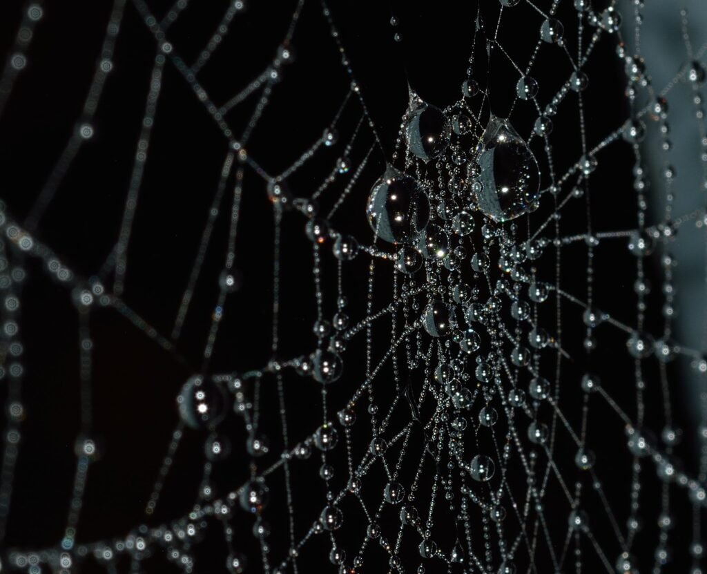 Link Building. ¿Qué es?